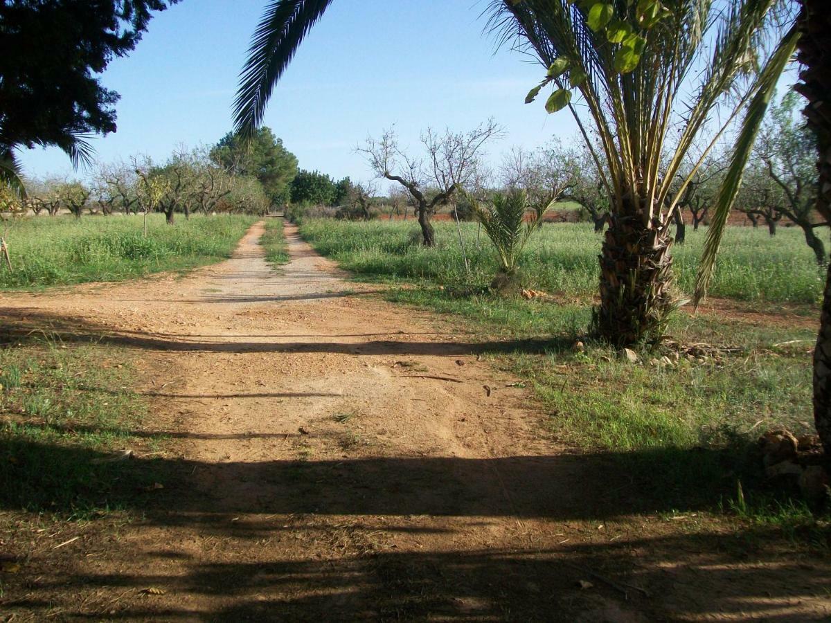 Ca'N Brusquer Villa Sencelles Luaran gambar
